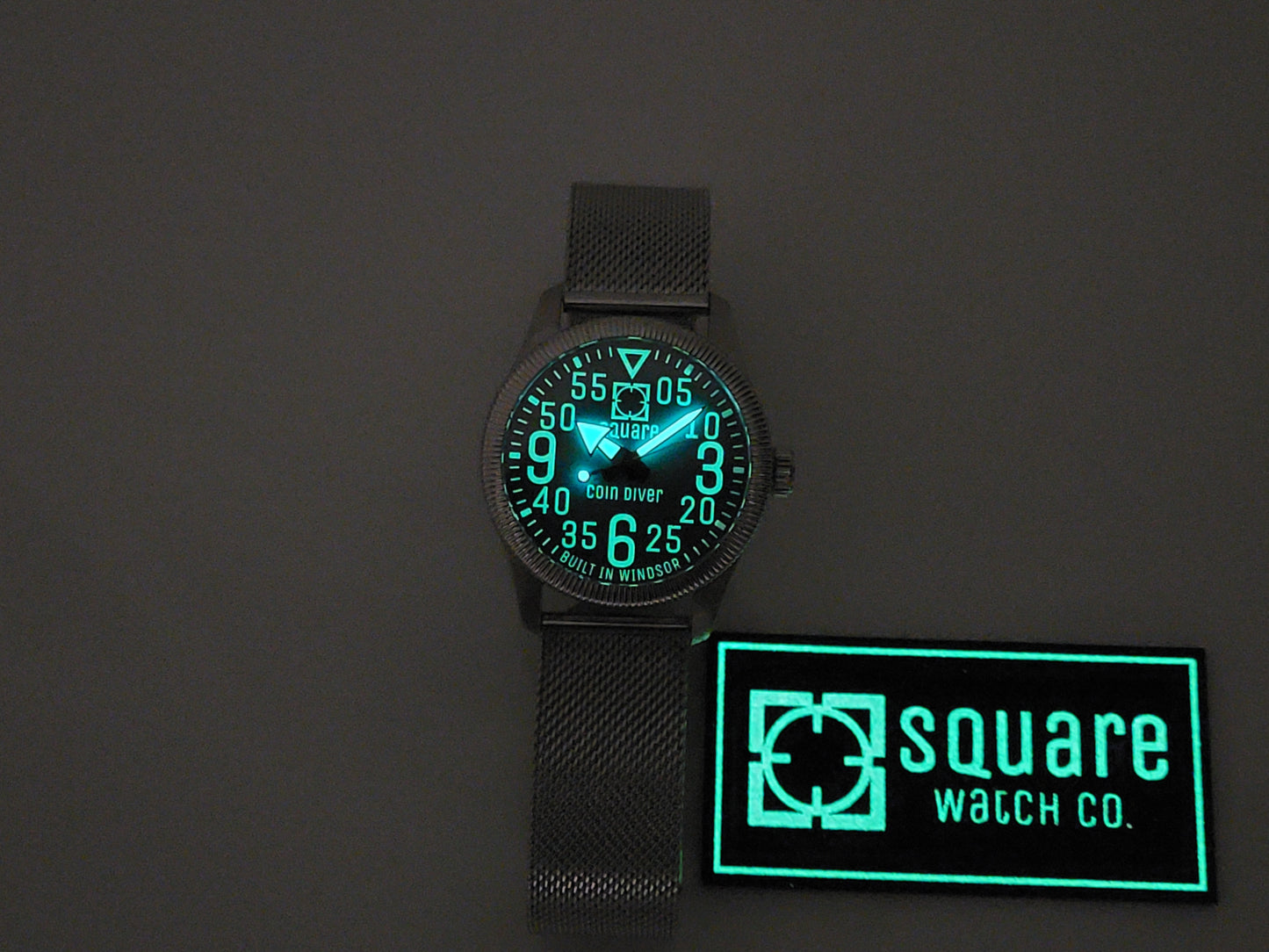 Coin Diver Grey